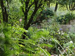 -谷咖啡·鲜花绿植花园餐厅