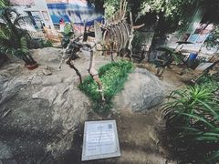-中国第四纪冰川遗迹陈列馆