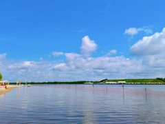 -呼兰河口湿地公园