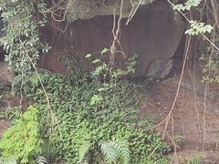 -梁野山景区