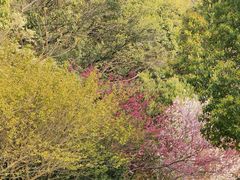 -杭州半山国家森林公园