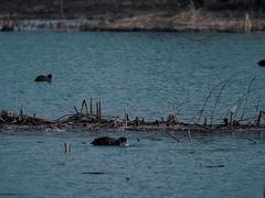 -苏州太湖湖滨国家湿地公园