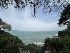 -美人鱼悬崖海景餐厅(鹿嘴山庄店)