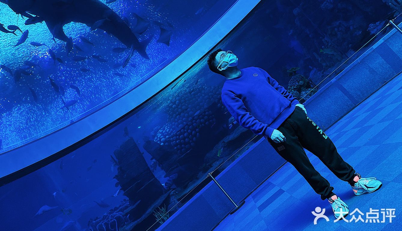 🐳长隆海洋王国的正确解锁方式