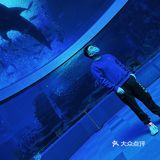 🐳长隆海洋王国的正确解锁方式