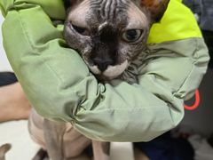 -美联众合动物医院·24h转诊中心