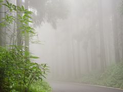 -山王坪喀斯特国家生态公园