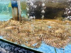 -天然居·漳港海鲜·海景餐厅(南澳总店)