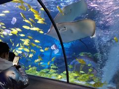 -太平洋海底世界