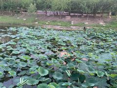 -河北工业大学(北辰校区)
