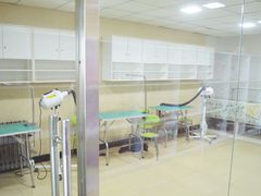 -优缇多格专业宠物美容师培训学校