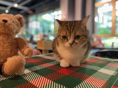 -咖法森林·咖啡  酒吧(天河店)