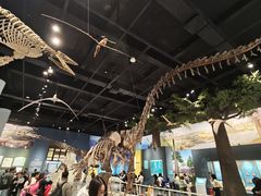 -国家自然博物馆