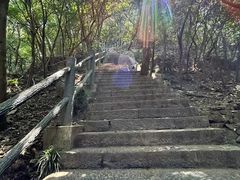 -紫金山山顶公园