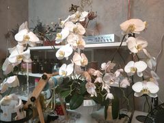 -100家灵感仓库·DIY团建(什刹海店)