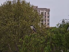 -手工艺活态馆