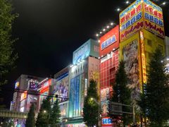 -秋叶原电器街