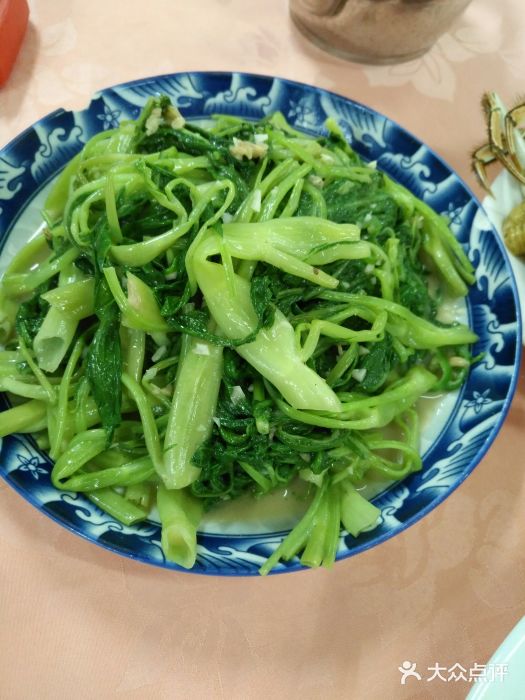 西江渔村图片