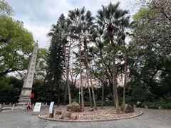 -柳侯公园