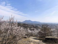 -白水寺森林公园