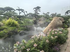 -罗红摄影艺术馆