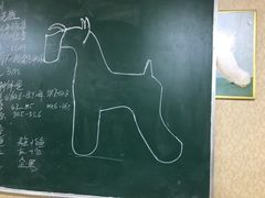 -优缇多格专业宠物美容师培训学校