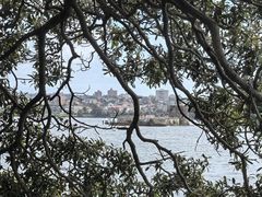 -麦考利夫人座椅