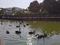 -无锡动物园·太湖欢乐园
