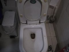 -天津啄木鸟数码维修