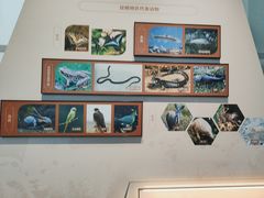 -昆明市博物馆(昆明市文物保护和考古研究中心)