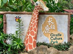 -海南热带野生动植物园