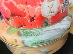 -珍妮曲奇聪明小熊(尖沙咀店)
