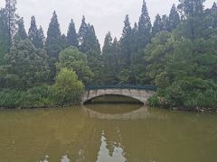 -东平国家森林公园