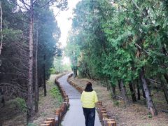 -白水寺森林公园