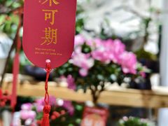 -双季花艺园艺市场(浦东店)