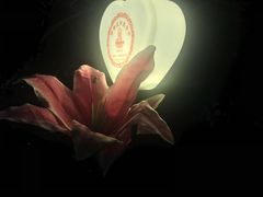 -Santoor 萨都里印度餐厅(北锣鼓巷店)