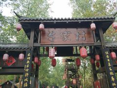 -合肥滨湖国家森林公园