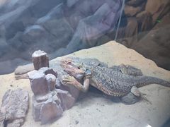 -梦幻海洋王国(吾悦广场张家港店)