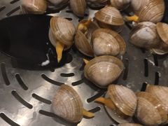 -苏大嘴海鲜牧场(奥林匹克店)