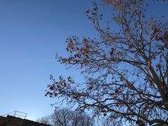 -阿尔罕布拉宫