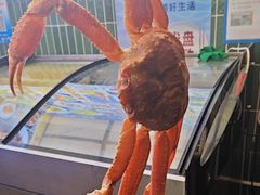 -1937青岛老味道·海肠捞饭·青岛菜(大鲍岛栈桥店)