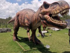 -上海海湾国家森林公园