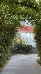 -酉嘉瑜伽YO+YOGA