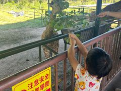 -秦皇岛野生动物园