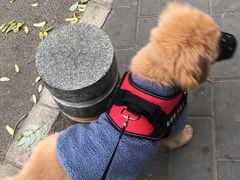 -北京观赏动物医院·24小时大型综合·猫专科·异宠专科