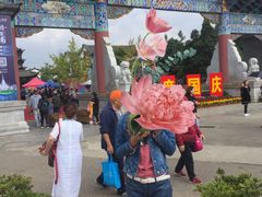 -云南民族村