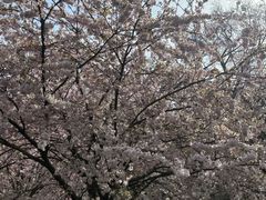 -维多利亚火车站