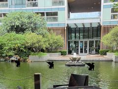 -前海华侨城JW万豪酒店·都会尚膳自助餐厅·熟成牛排海鲜酒水畅飨