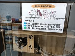 -凤凰路何眼镜香辣蟹(花果园店)