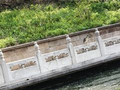 -皇家御河游(紫御湾码头)